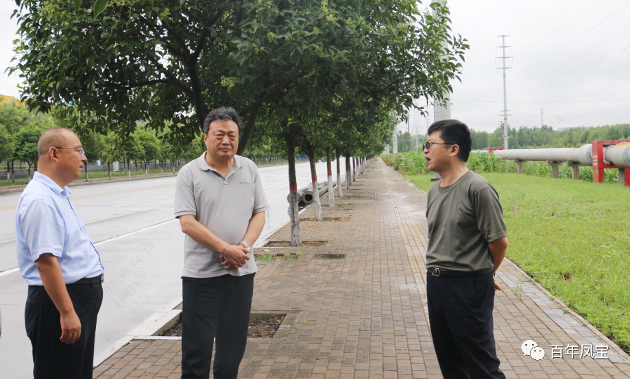 雷涛到完美官方在线入口特钢集团调研指导防汛工作