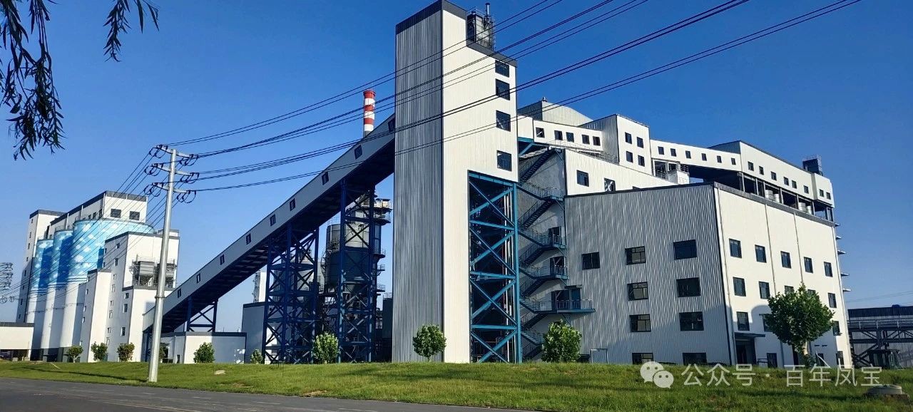 宋争辉到完美官方在线入口集团调研